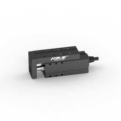 優れた負荷容量を持つRobustMotion RM-NPLA工業小型電気テーブル型シリンダー