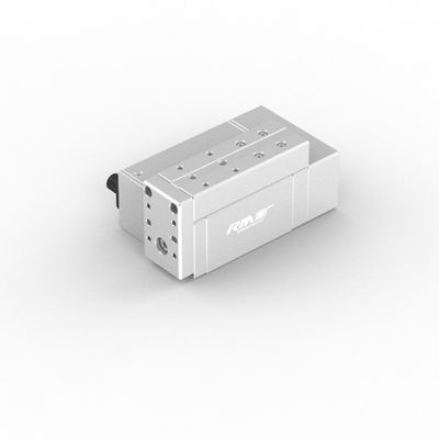 RM-RPLA 急速応答速度 選択式ストロークの産業用線形アクチュエータ